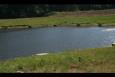 IMG 5601