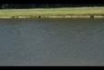 IMG 5658