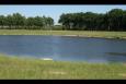 IMG 5725