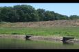 IMG 5743