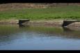 IMG 5744