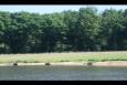 IMG 5745