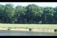 IMG 5746