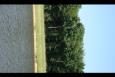 IMG 5778