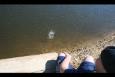 IMG 5796