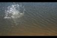 IMG 5798