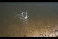 IMG 5804