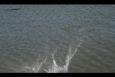 IMG 5813