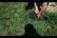 IMG 5816