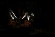 IMG 5932